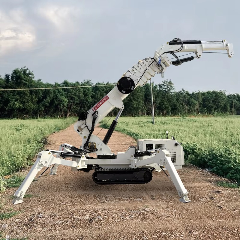 Compact Crawler Boom Lift - Mini Grúa Araña Compacta, Capacidad de