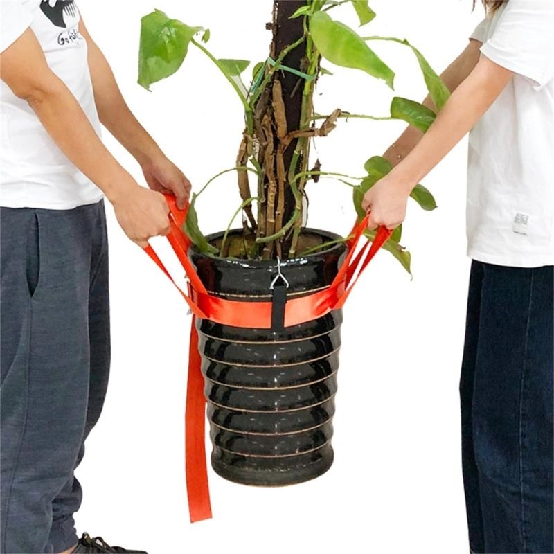 Correa elevación plantas mudan - Heavy Equipment Transport reseña y precio