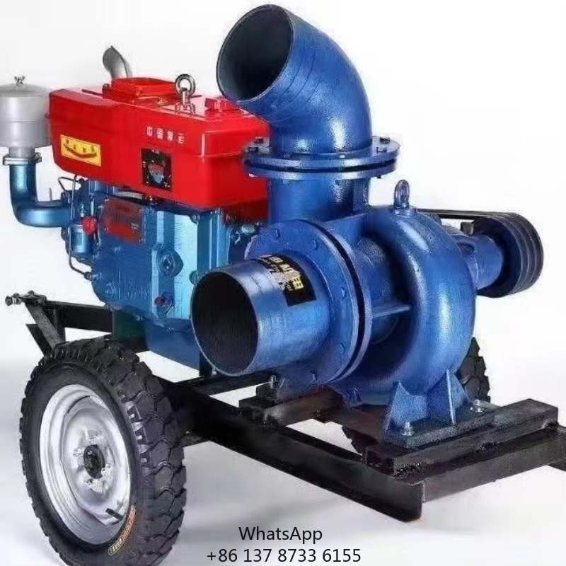 Bomba de agua de motor diésel  - Diesel Water Pump reseña y precio